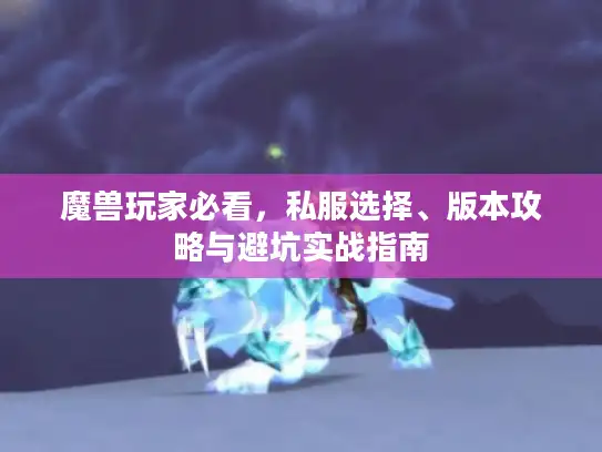 魔兽玩家必看，私服选择、版本攻略与避坑实战指南
