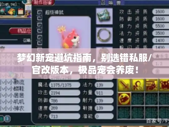 梦幻新宠避坑指南，别选错私服/官改版本，极品宠会养废！