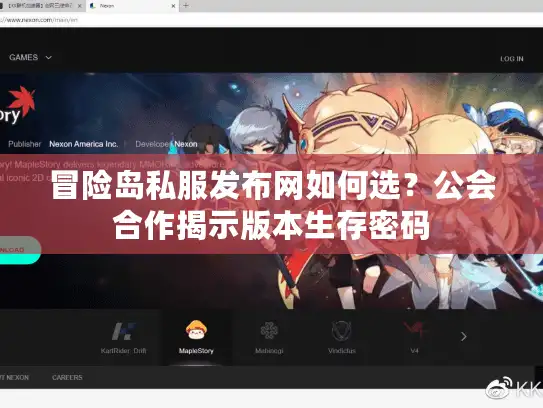 冒险岛私服发布网如何选？公会合作揭示版本生存密码
