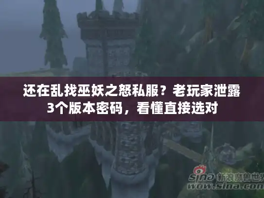 还在乱找巫妖之怒私服？老玩家泄露3个版本密码，看懂直接选对