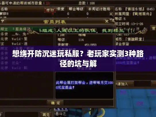 想绕开防沉迷玩私服？老玩家实测3种路径的坑与解