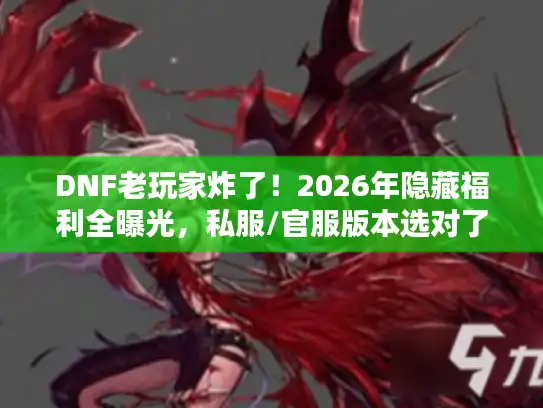 DNF老玩家炸了！2026年隐藏福利全曝光，私服/官服版本选对了，搬砖打团爽到起飞？