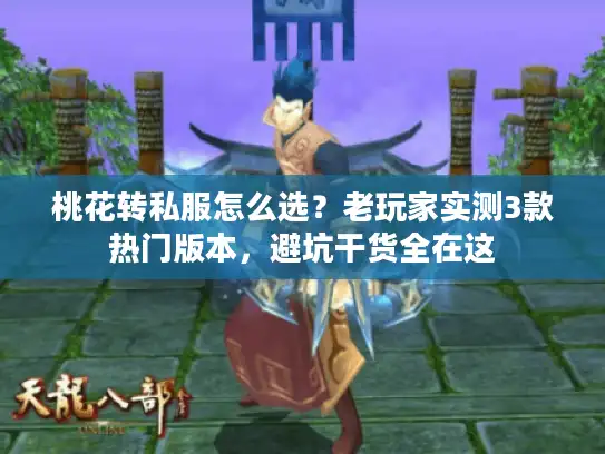桃花转私服怎么选？老玩家实测3款热门版本，避坑干货全在这