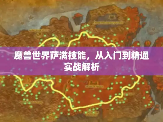 魔兽世界萨满技能，从入门到精通实战解析