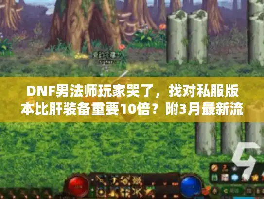 DNF男法师玩家哭了，找对私服版本比肝装备重要10倍？附3月最新流派攻略