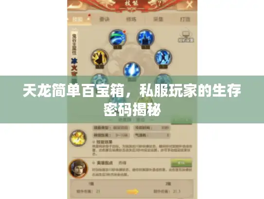 天龙简单百宝箱，私服玩家的生存密码揭秘