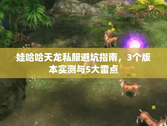 娃哈哈天龙私服避坑指南,3个版本实测与5大雷点 娃哈哈天龙私服避坑指南,3个版本实测与5大雷点