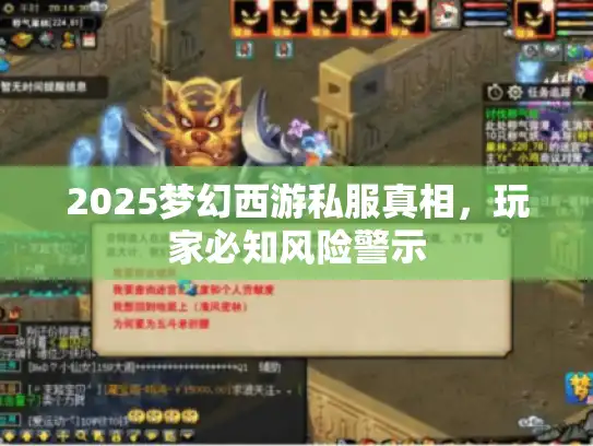 2025梦幻西游私服真相,玩家必知风险警示 2025梦幻西游私服真相,玩家必知风险警示