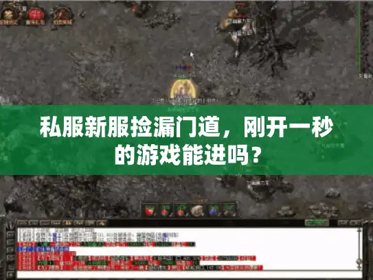 私服新服捡漏门道,刚开一秒的游戏能进吗? 私服新服捡漏门道,刚开一秒的游戏能进吗?