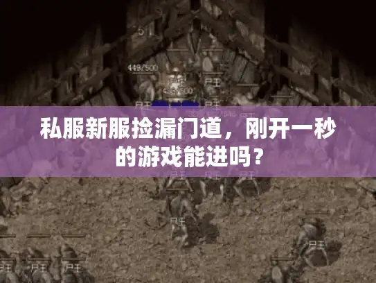 私服新服捡漏门道,刚开一秒的游戏能进吗? 私服新服捡漏门道,刚开一秒的游戏能进吗?