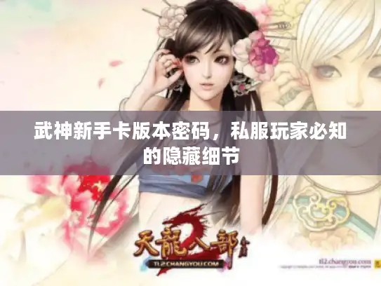 武神新手卡版本密码,私服玩家必知的隐藏细节 武神新手卡版本密码,私服玩家必知的隐藏细节