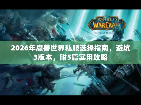 2026年魔兽世界私服选择指南，避坑3版本，附5篇实用攻略