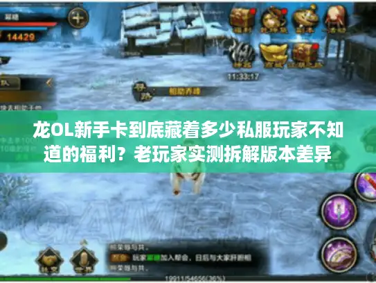 龙OL新手卡到底藏着多少私服玩家不知道的福利?老玩家实测拆解版本差异 龙OL新手卡到底藏着多少私服玩家不知道的福利?老玩家实测拆解版本差异