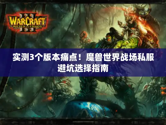 实测3个版本痛点！魔兽世界战场私服避坑选择指南