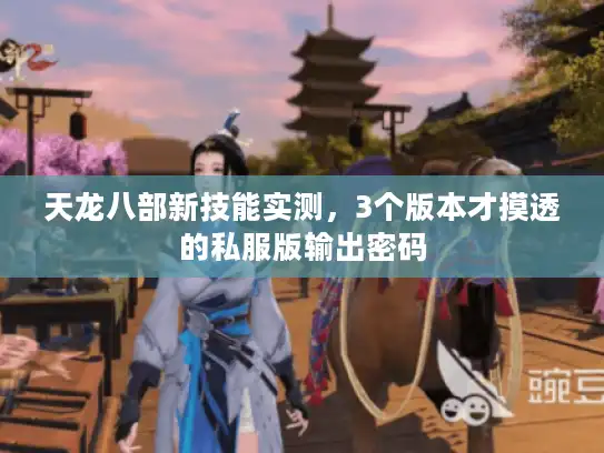 天龙八部新技能实测,3个版本才摸透的私服版输出密码 天龙八部新技能实测,3个版本才摸透的私服版输出密码