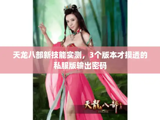 天龙八部新技能实测,3个版本才摸透的私服版输出密码 天龙八部新技能实测,3个版本才摸透的私服版输出密码