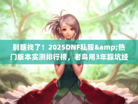 别瞎找了！2025DNF私服&热门版本实测排行榜，老鸟用3年踩坑经验帮你避雷