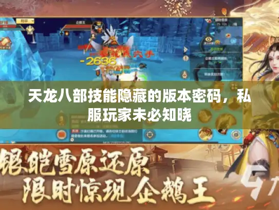 天龙八部技能隐藏的版本密码,私服玩家未必知晓 天龙八部技能隐藏的版本密码,私服玩家未必知晓