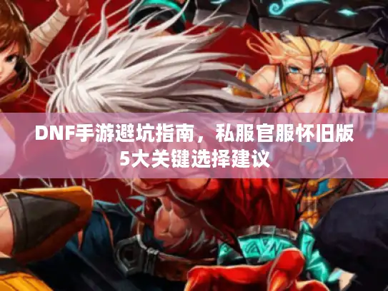 DNF手游避坑指南，私服官服怀旧版5大关键选择建议