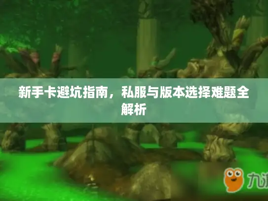 新手卡避坑指南，私服与版本选择难题全解析