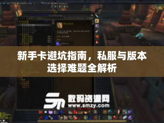 新手卡避坑指南，私服与版本选择难题全解析