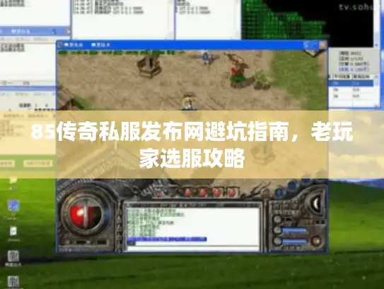 85传奇私服发布网避坑指南，老玩家选服攻略