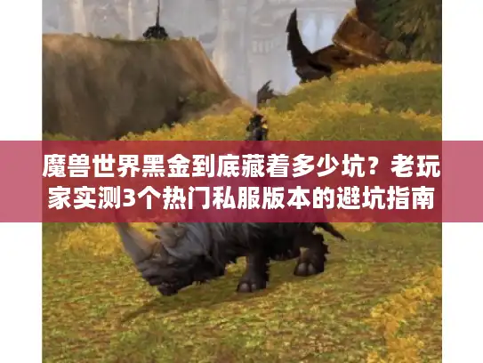 魔兽世界黑金到底藏着多少坑？老玩家实测3个热门私服版本的避坑指南