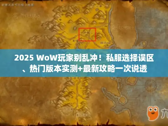 2025 WoW玩家别乱冲！私服选择误区、热门版本实测+最新攻略一次说透
