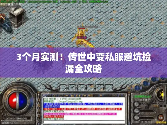 3个月实测！传世中变私服避坑捡漏全攻略