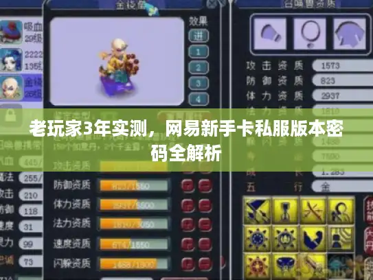 老玩家3年实测，网易新手卡私服版本密码全解析