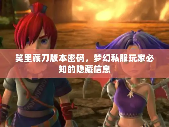 笑里藏刀版本密码,梦幻私服玩家必知的隐藏信息 笑里藏刀版本密码,梦幻私服玩家必知的隐藏信息