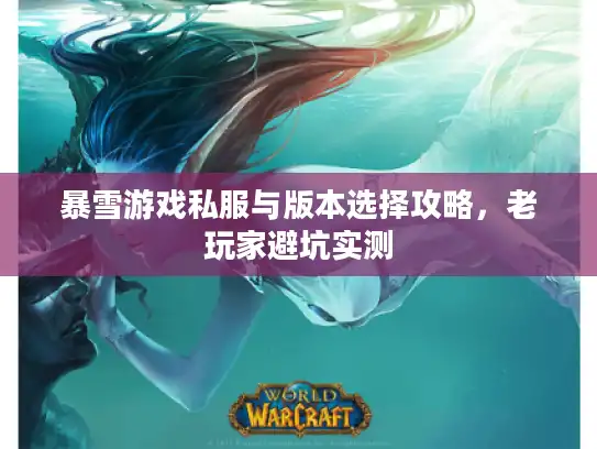 暴雪游戏私服与版本选择攻略，老玩家避坑实测