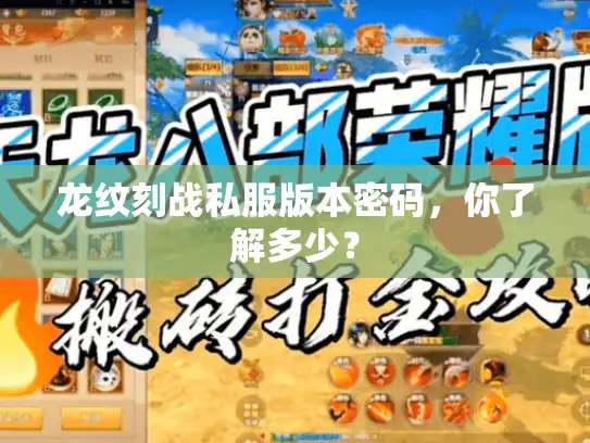 龙纹刻战私服版本密码，你了解多少？