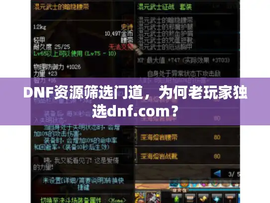 DNF资源筛选门道，为何老玩家独选dnf.com？