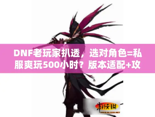DNF老玩家扒透，选对角色=私服爽玩500小时？版本适配+攻略避坑全在这