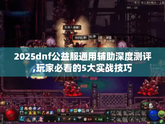 2025dnf公益服通用辅助深度测评,玩家必看的5大实战技巧