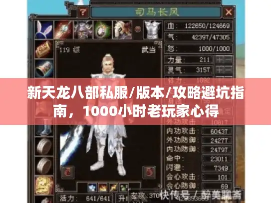 新天龙八部私服/版本/攻略避坑指南，1000小时老玩家心得