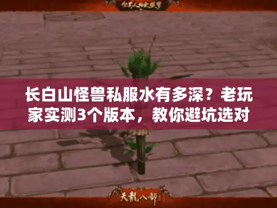 长白山怪兽私服水有多深？老玩家实测3个版本，教你避坑选对款