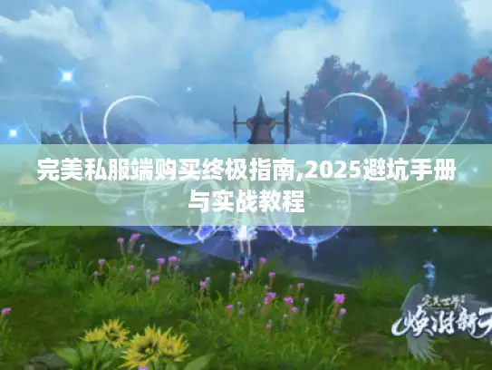 完美私服端购买终极指南,2025避坑手册与实战教程 完美私服端购买终极指南,2025避坑手册与实战教程