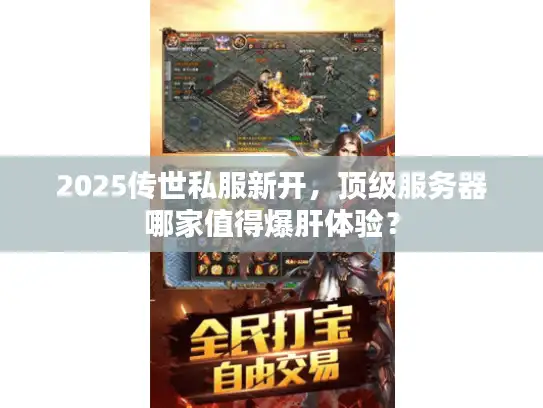 2025传世私服新开，顶级服务器哪家值得爆肝体验？