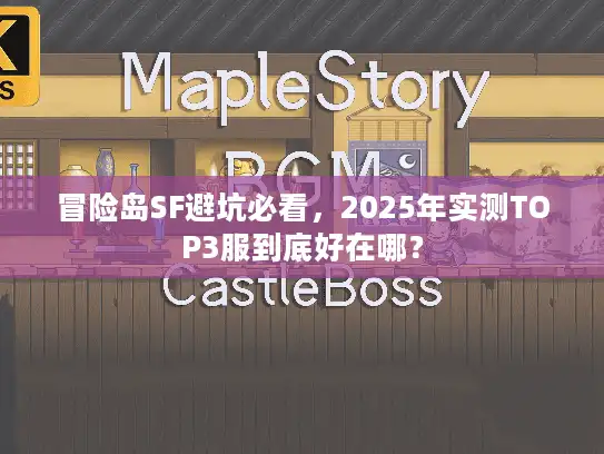 冒险岛SF避坑必看，2025年实测TOP3服到底好在哪？