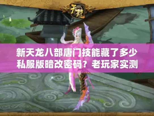 新天龙八部唐门技能藏了多少私服版暗改密码？老玩家实测10个版本才摸清