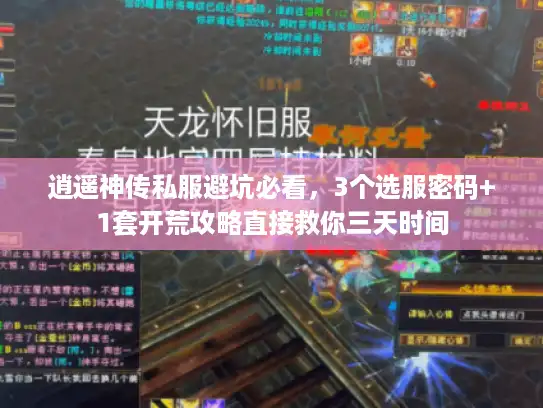 逍遥神传私服避坑必看，3个选服密码+1套开荒攻略直接救你三天时间