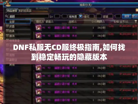DNF私服无CD服终极指南,如何找到稳定畅玩的隐藏版本