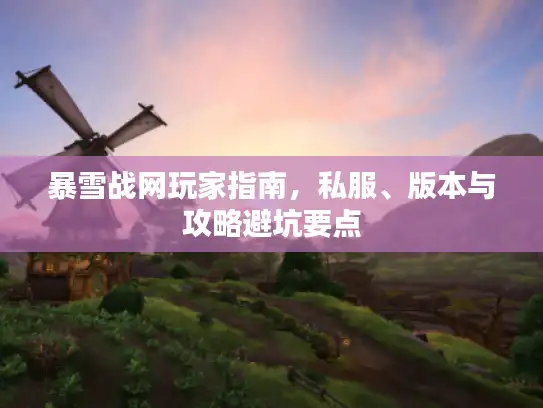 暴雪战网玩家指南，私服、版本与攻略避坑要点