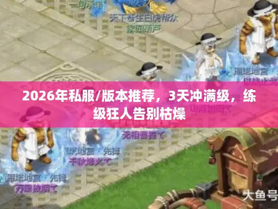 2026年私服/版本推荐，3天冲满级，练级狂人告别枯燥