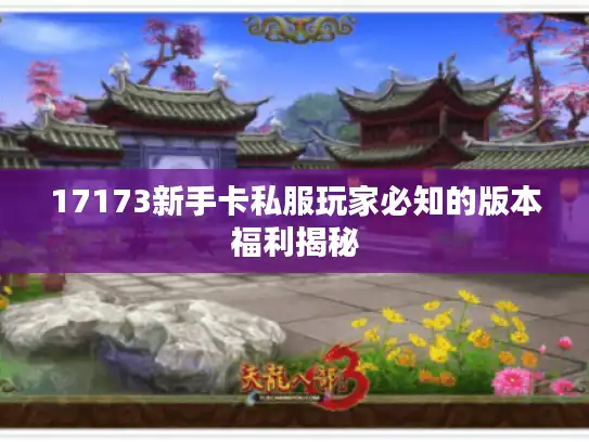 17173新手卡私服玩家必知的版本福利揭秘