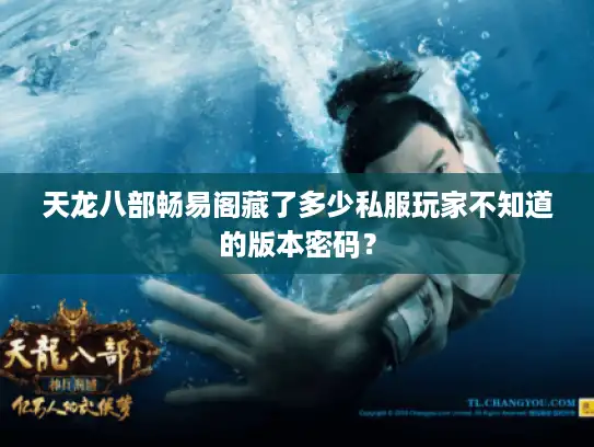 天龙八部畅易阁藏了多少私服玩家不知道的版本密码？