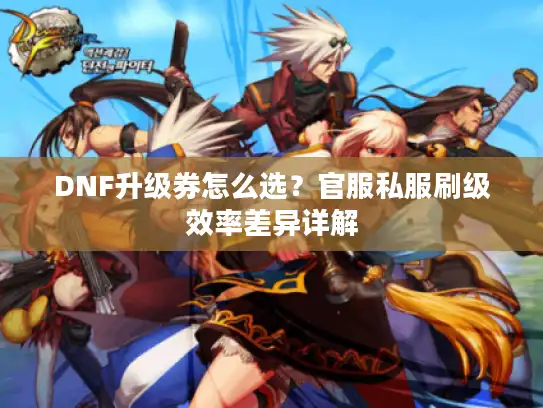 DNF升级券怎么选？官服私服刷级效率差异详解