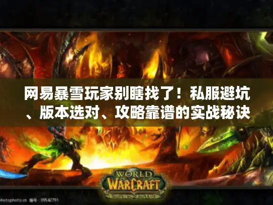 网易暴雪玩家别瞎找了！私服避坑、版本选对、攻略靠谱的实战秘诀